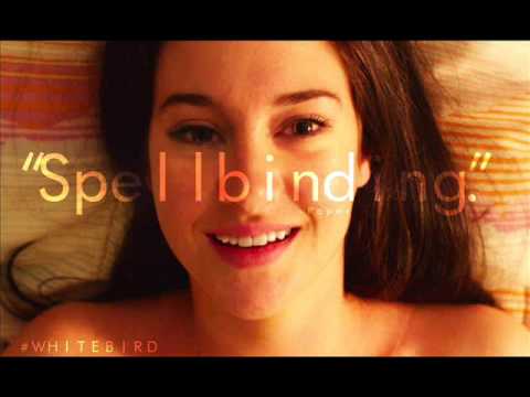 Ulrich Schnauss    Gone Forever White Bird in a Blizzard