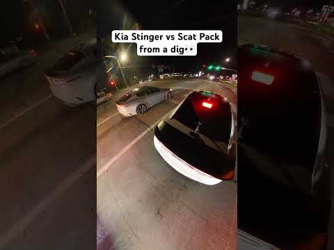 Kia Stinger vs Scat Pack from a dig👀