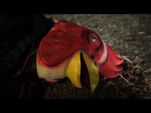 A CHICKEN AND TWO MEN –