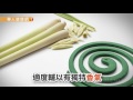 【影音版】防蚊中醫來助陣！DIY漢方驅蚊香＋止癢液