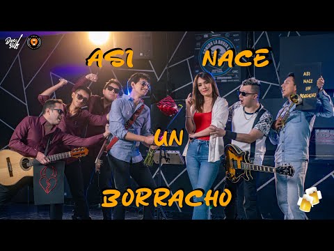 Así nace un borracho