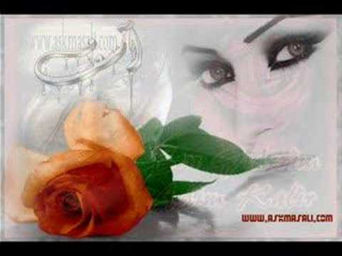 Mc ZaLiM & SheKiL Mc