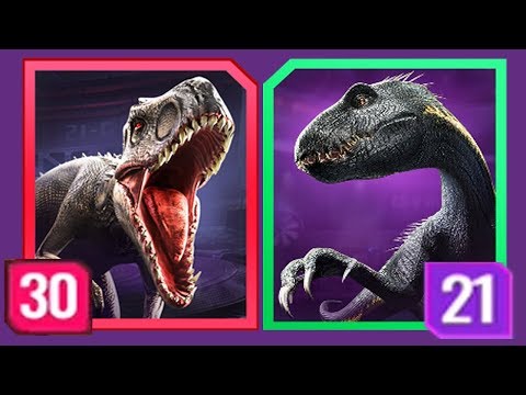 INDORAPTOR Vs INDOMINUS REX LEVEL 30 - Jurassic World Alive