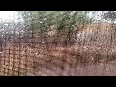 Mr Hudson - Forever Young ( Slowed To Perfection )