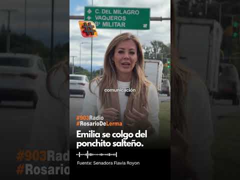 Senadora Flavia Royon Puente de Vaqueros Salta