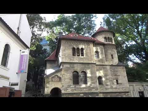 シャスルー ローバ シナゴーグ - 定義