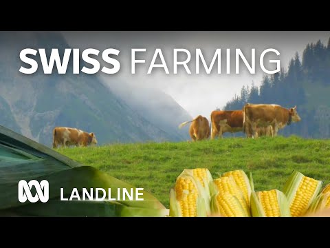 What can Australian farmers learn from Swiss agriculture? | Landline | ABC Australia