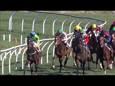 Napoli Galoppo 14/02/2024 - 2ª corsa