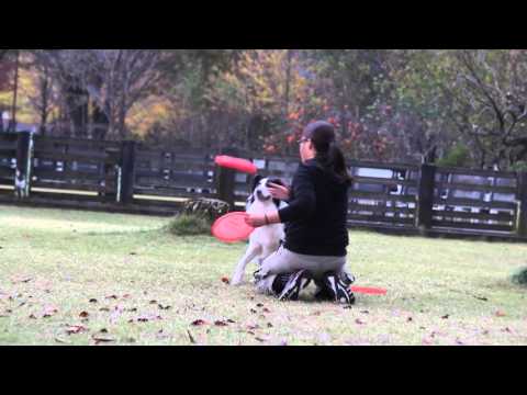 リンダくん、フリースタイル☆YUSHAオフ会