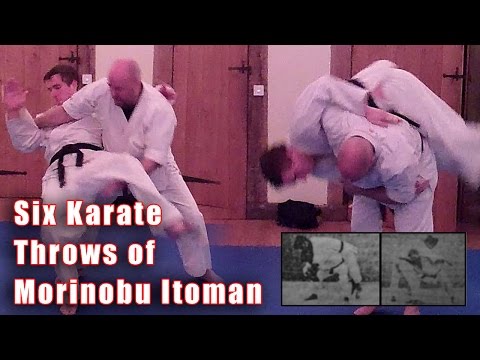 Six of Morinobu Itoman's Karate Throws