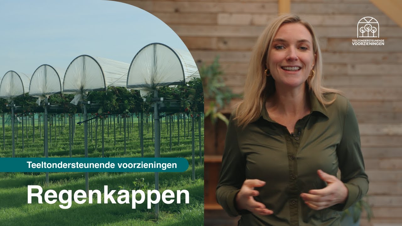 Videostill: regenkappen boven een teeltrij