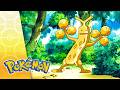 All That Glitters Is Not Golden POKÉMON FULL EPISODE 28 Season 9