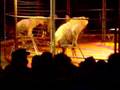 Family Time At The Circus