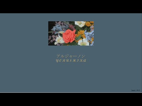 Yorushika - Algernon (アルジャーノン) (Lyrics/Kan/Rom/Eng)