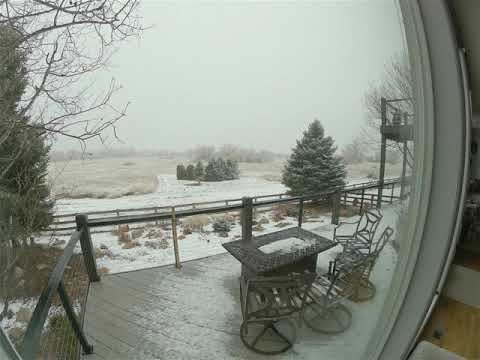 Day 1 of Colorado Snow Storm (3/13/2021)