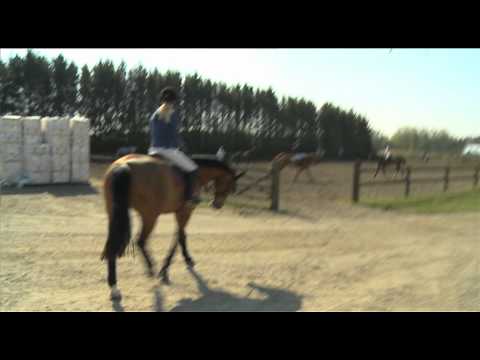 H&M We Love Horses, El Camino a Madrid - Episode 3