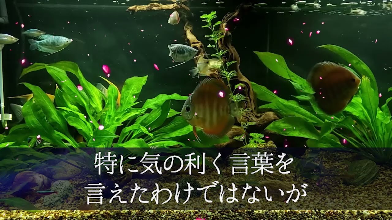 事故で夫を失った未亡人　私は正体を明かさないまま…【朗読】