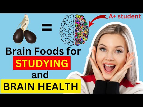 10 BEST Brain Foods to BOOST Your Memory and Concentration | Power ...