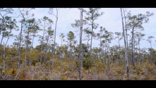 Waterways Episode 273 - Wilderness Act 50th Anniversary & Storm Water