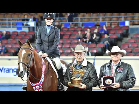 A Judge's Perspective: 2017 AQHA World Senior Hunter Hack World Champion