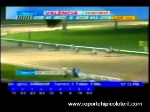 Resumen Jueves 21 de Julio de 2011 - Valencia