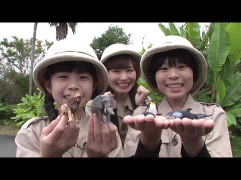 アニア どうぶつくらべっこクイズ いろんなちからくらべ【タカラトミーキッズ】 親子で楽しくあんしん | ファミリー | おはなし | どうぶつ  | 公式 | タカラトミー公式