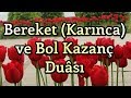 Bereket Duası | Karınca Duası | Bol Rızık Duası | Amin!