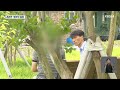 '명심하여 듣거라 동네' 글에 포함된 동영상