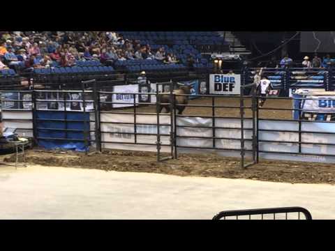 Curt gets bucked off at Minneapolis PBR Blue DEF #pbrbluedef