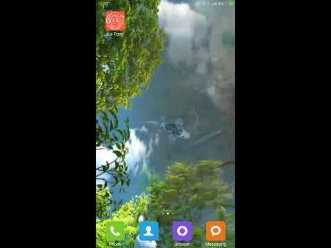 Water Garden Live Wallpaper Video