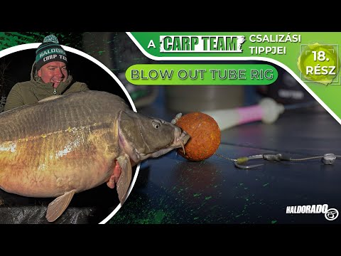 Rokolya Péter - A Haldorádó Carp Team csalizási tippjei – 18. rész - Blow Out Tube Rig
