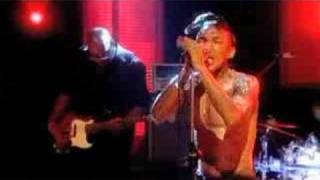 Tricky Live Jools Holland Council Estate