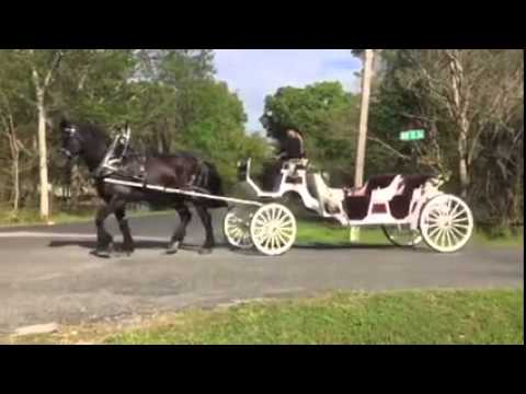 Promotional video thumbnail 1 for Horse Country Carriage Co & Tours