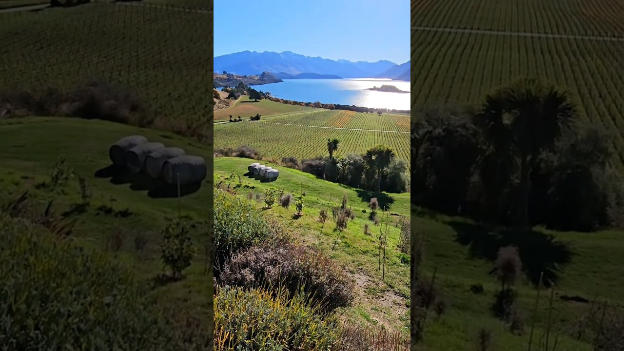 YouTube Short thumbnail