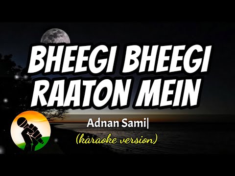Bheegi Bheegi Raaton Mein - Adnan Sami (karaoke version)