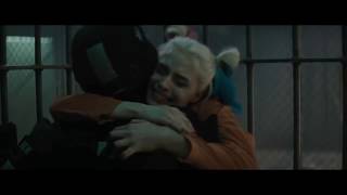 The Joker and Harley Quinn - Love is Madness (Thirty Seconds To Mars) Music Video