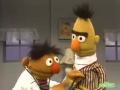 Classic Sesame Street Bert And Doctor Ernie