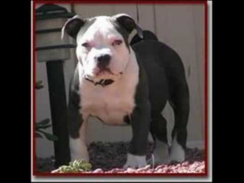 UK MCz- every endz crazy titch - jme + more