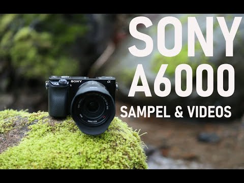 SONY a6000 BEST camera in 2022 With  & VIDEO samples