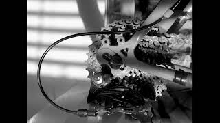 the slow ripple of a puddle...