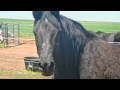 In Memory of Spirit -Music "Eternal Friendship" by Natalie MacMaster album "BluePrint"