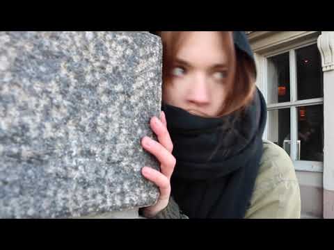 Die Schreckensherrschaft