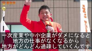 #参政党 #自民党 #日本人ファースト 
