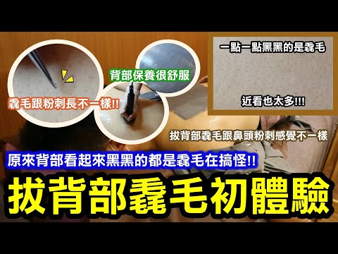 背上長毛
