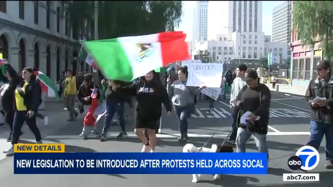 Multiple demonstrators detained by LAPD during 'Day Without Immigrants' protest