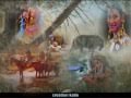les indiens d ' amerique - wayra dance the wolf