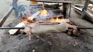 preview picture of video 'Lechon/Roasted Pig in Tibanban, Governor Generoso, Davao Oriental, Philippines (1/29/2019)'