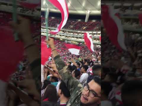 "â€œCuando mires para el tablón, siempre tu hinchada te va a alentarâ€ Chivas vs Querétaro 2019" Barra: Barra Insurgencia &bull; Club: Chivas Guadalajara