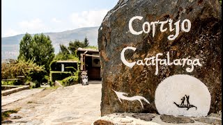 Video del alojamiento Cortijo Catifalarga