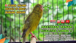 Download lagu Kenari GACOR NGEREK‼️ Masteran Kenari PAUD dan Pancingan Kenari MACET BUNYI dan Betina NGIWIR - 158 mp3